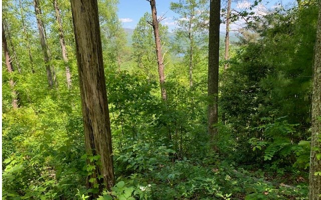 Lot 8 Hidden Summit Road Property Photo 5