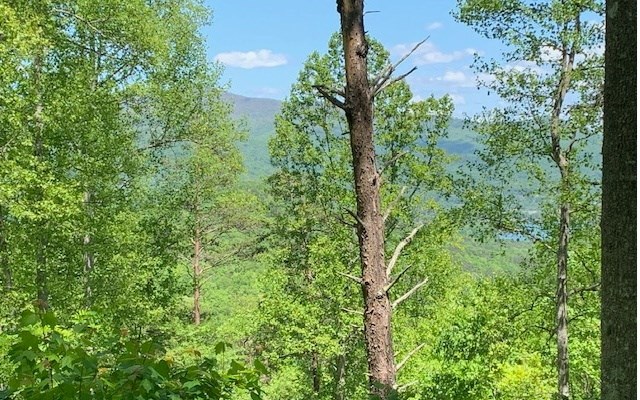 Lot 8 Hidden Summit Road Property Photo 6