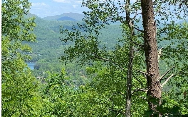 Lot 8 Hidden Summit Road Property Photo 7