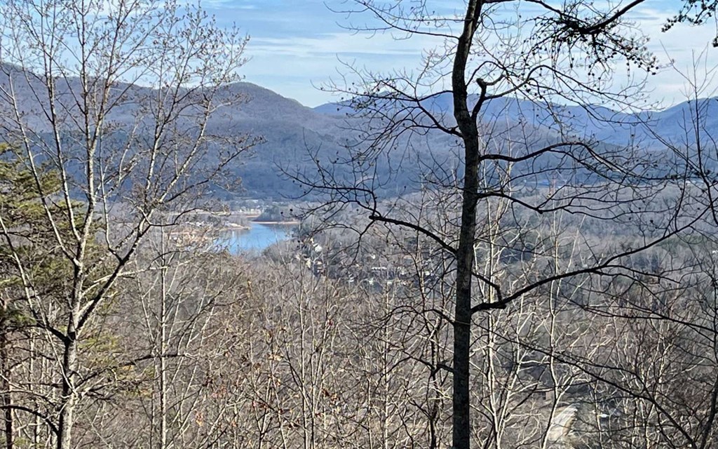 Lot 8 Hidden Summit Road Property Photo 8