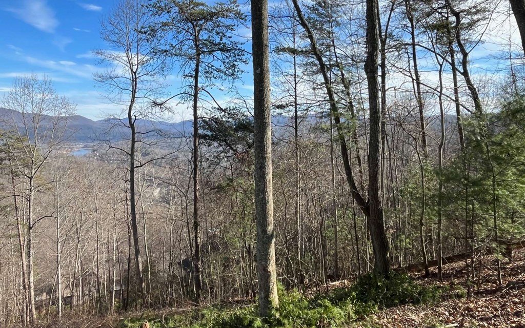 Lot 8 Hidden Summit Road Property Photo 9