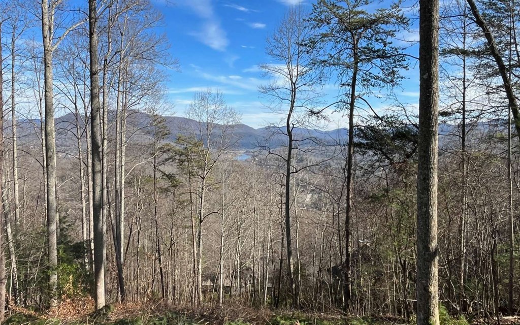 Lot 8 Hidden Summit Road Property Photo 10