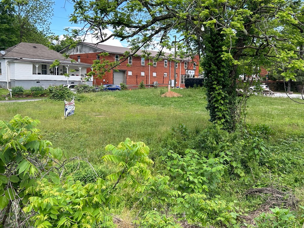 107 Douglas Street Property Photo 2