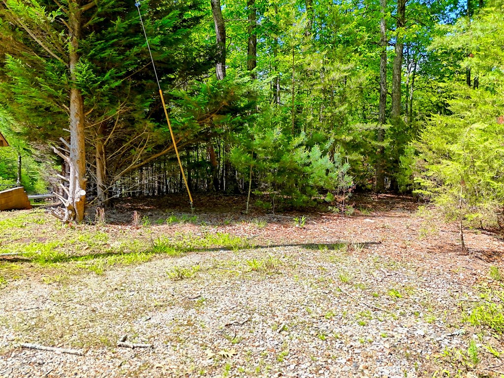 Lot 25 Davis Lane Property Photo 5