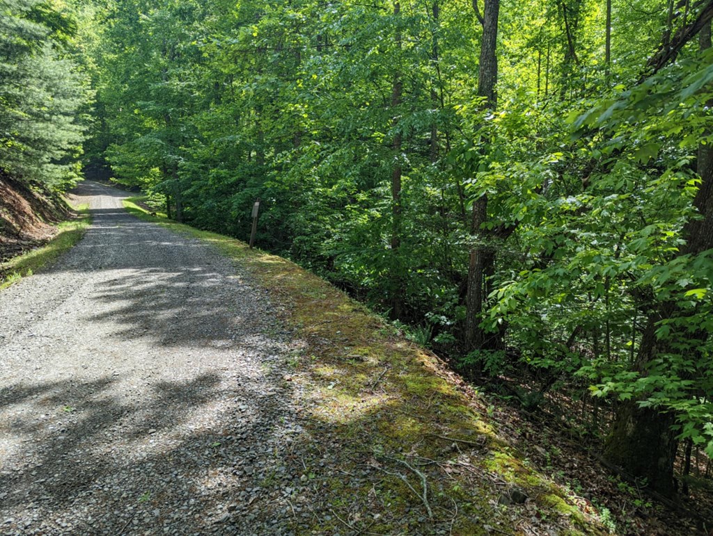 Tbd Heritage Trail Property Photo 2