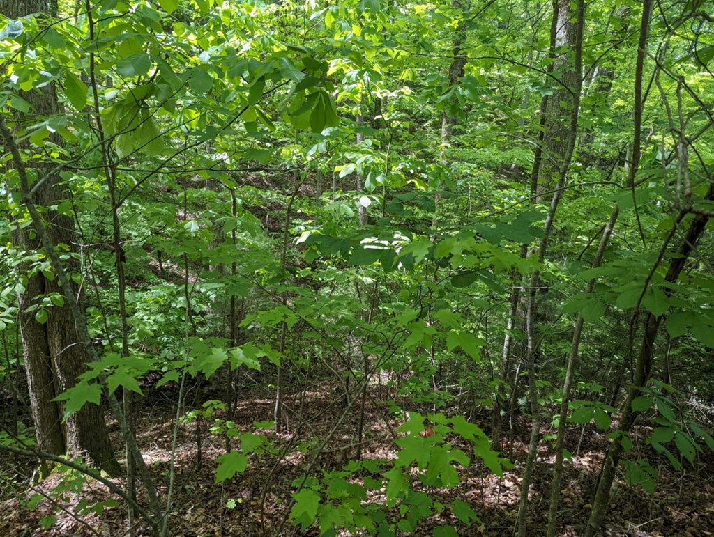 Tbd Heritage Trail Property Photo 5