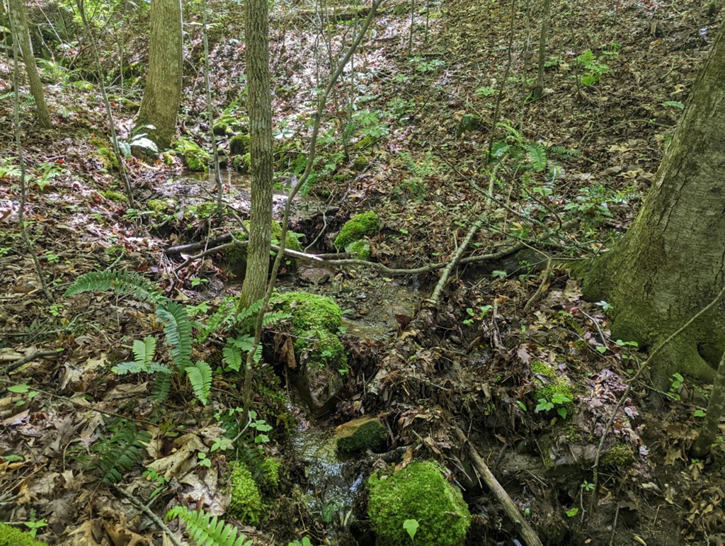 Tbd Heritage Trail Property Photo 8