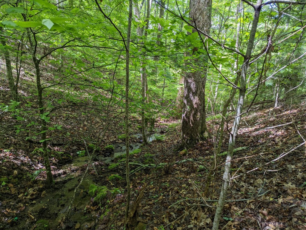 Tbd Heritage Trail Property Photo 10