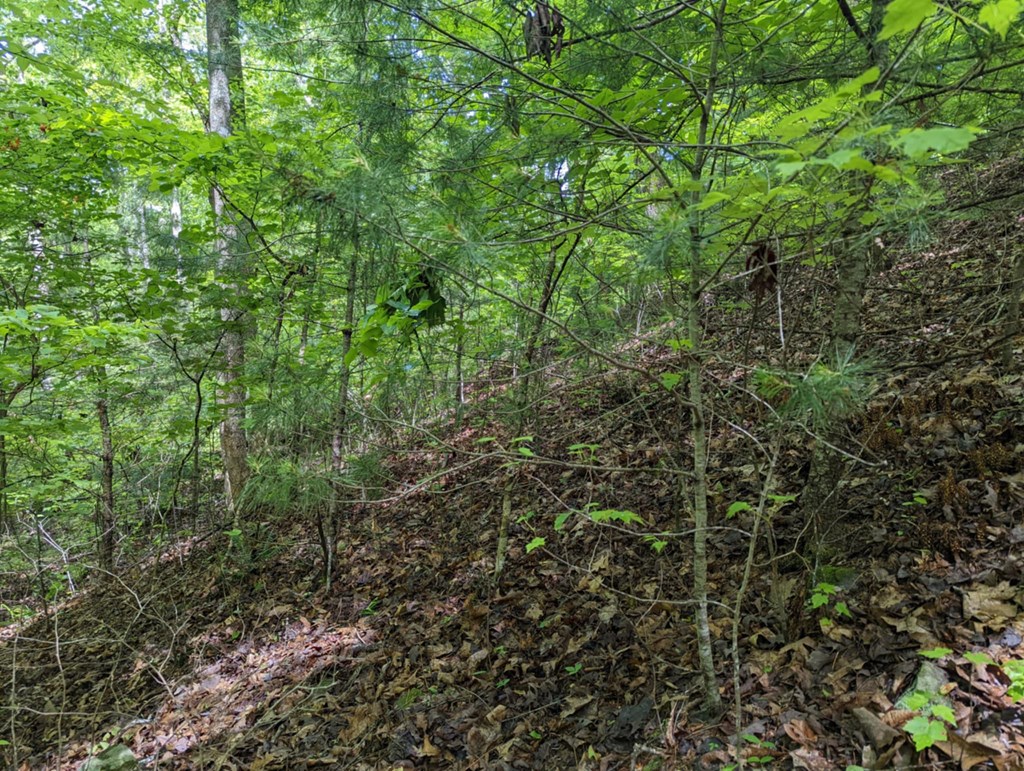 Tbd Heritage Trail Property Photo 11