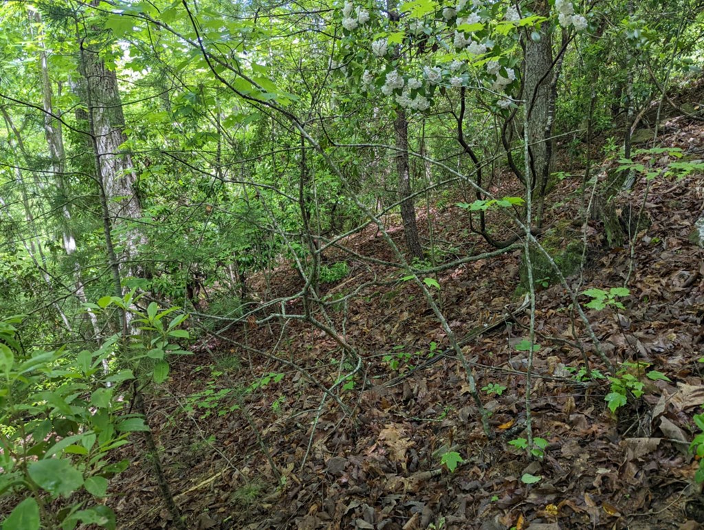 Tbd Heritage Trail Property Photo 13
