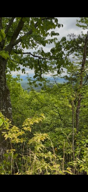 16 Ac Campbell Cove Creek Property Photo 4