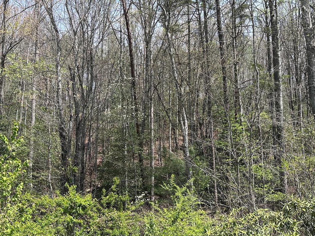 00 Hwy 64 Property Photo 1