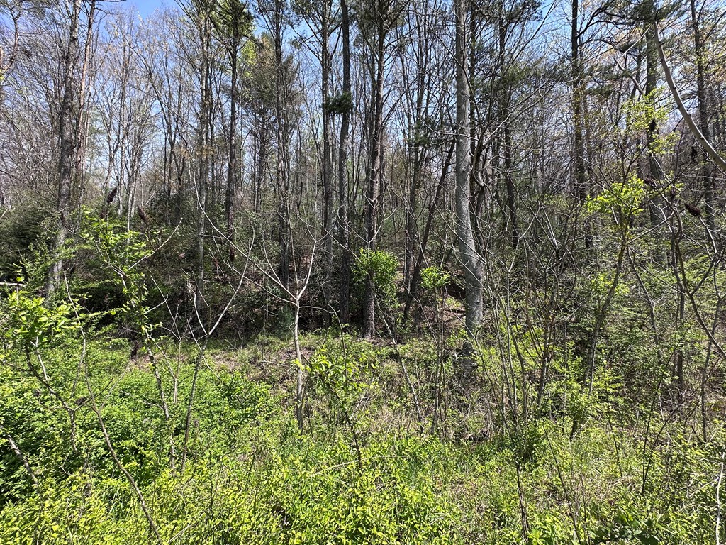 00 Hwy 64 Property Photo 3