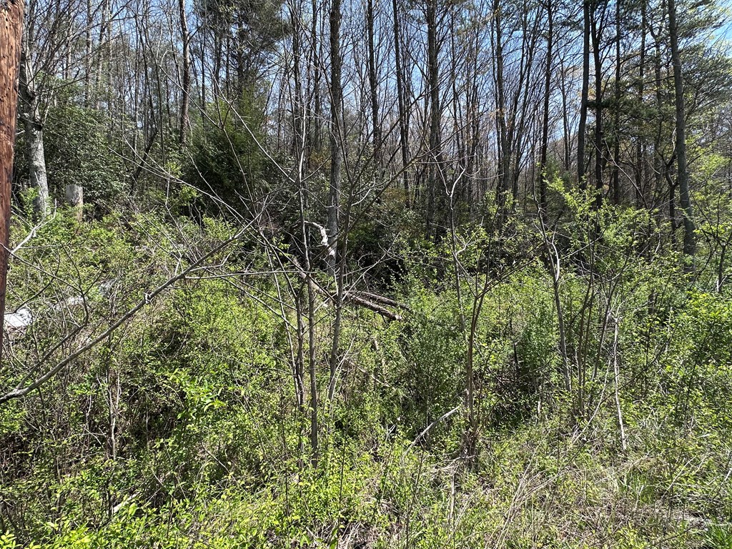 00 Hwy 64 Property Photo 4