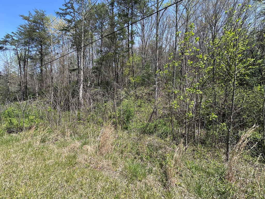 00 Hwy 64 Property Photo 7