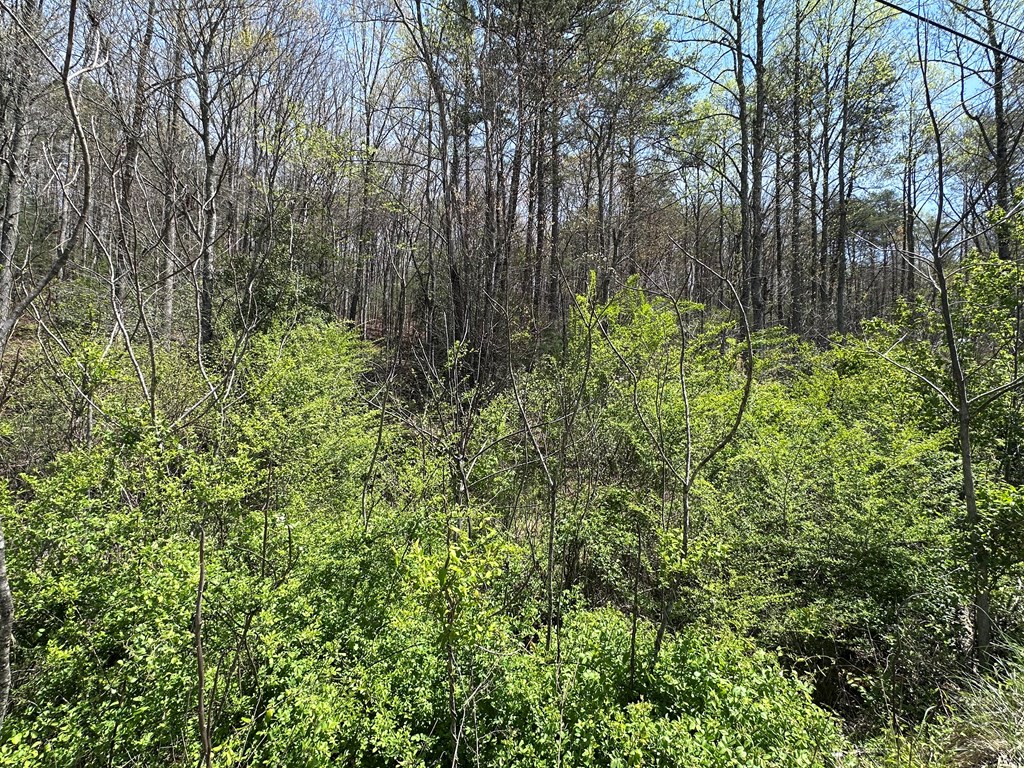 00 Hwy 64 Property Photo 8
