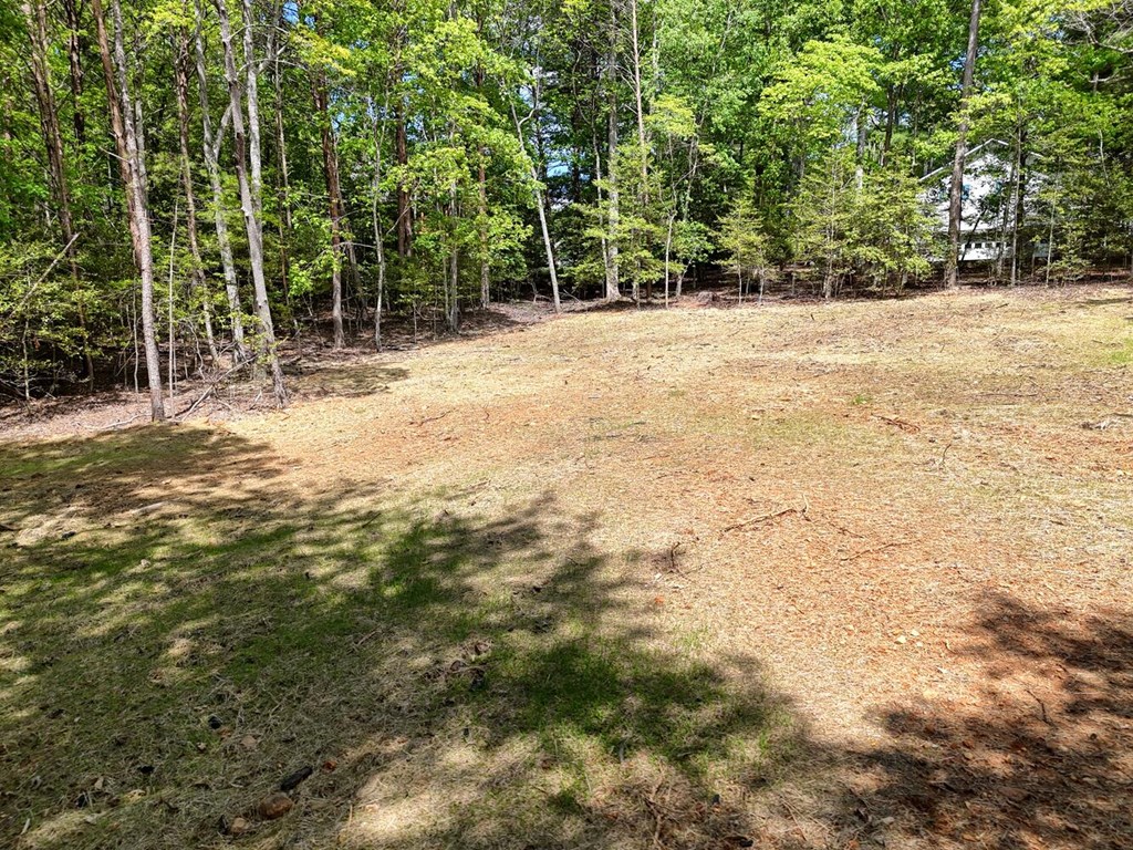0 The Landing Property Photo 3