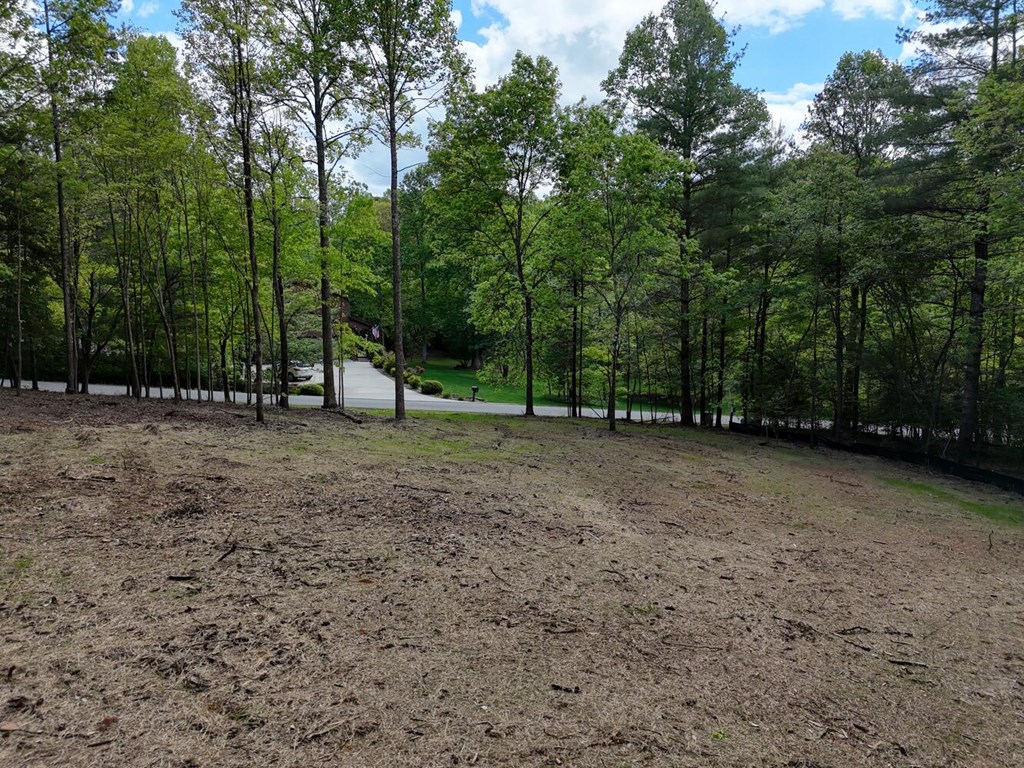 0 The Landing Property Photo 6