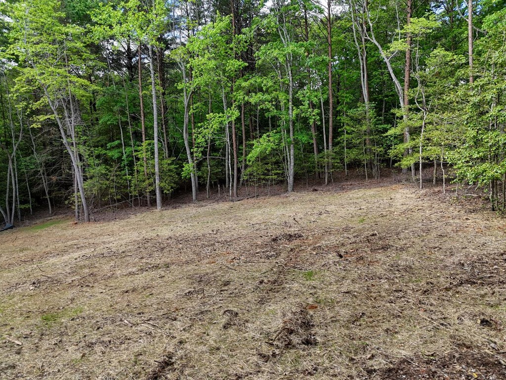 0 The Landing Property Photo 7