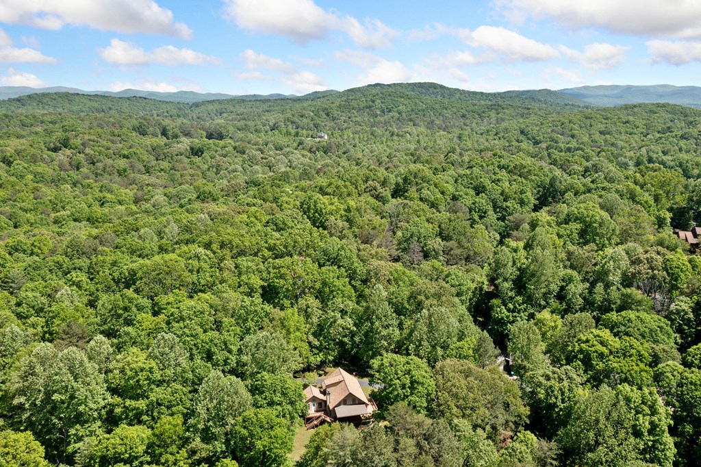 446 Riverwood Road Property Photo 36