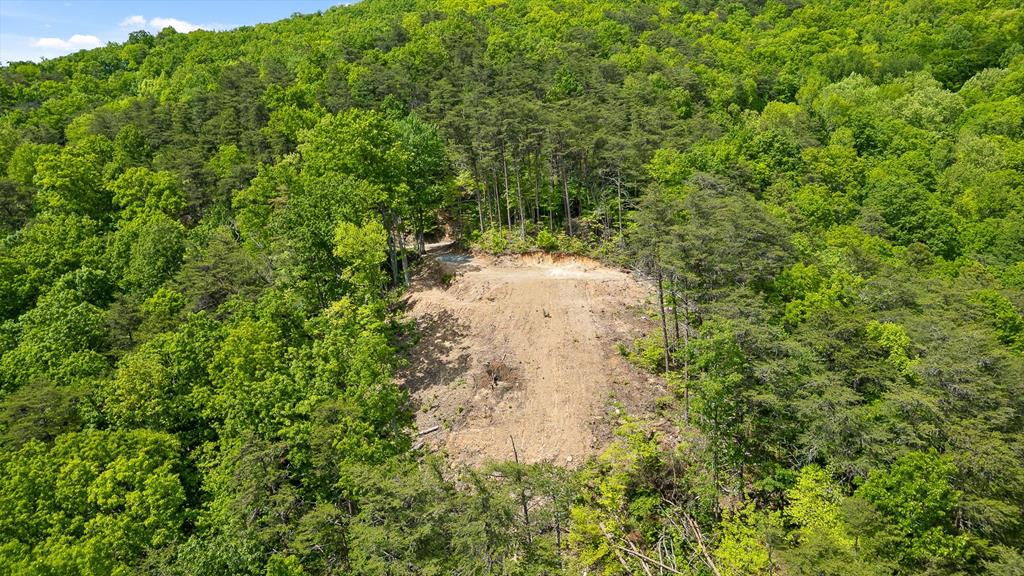 4404 Hwy 52 Property Photo 9