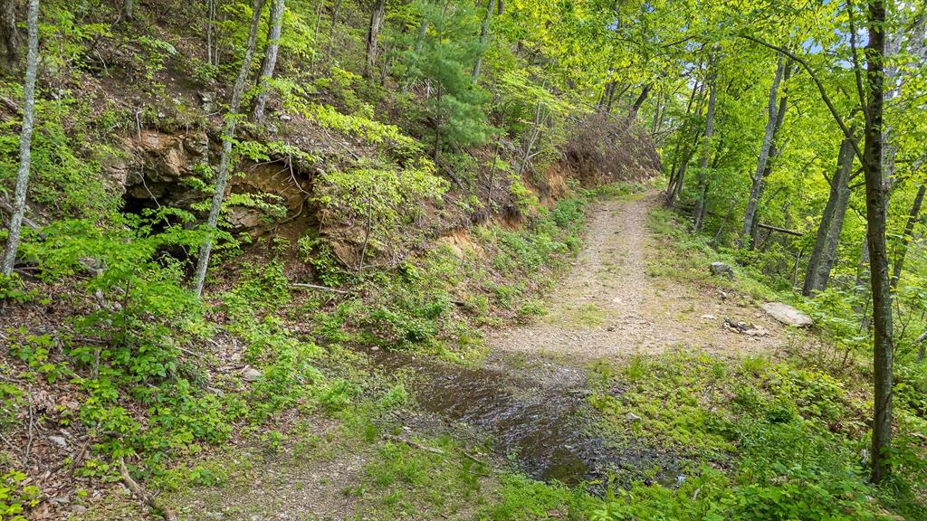 4404 Hwy 52 Property Photo 17
