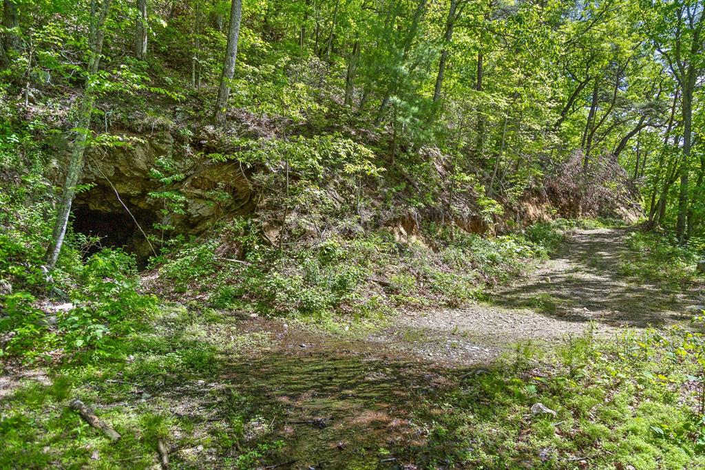 4404 Hwy 52 Property Photo 18