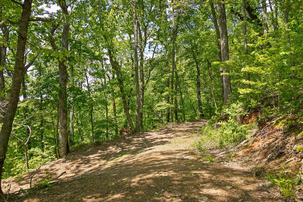 4404 Hwy 52 Property Photo 21