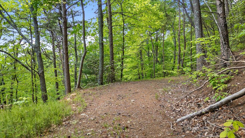 4404 Hwy 52 Property Photo 23