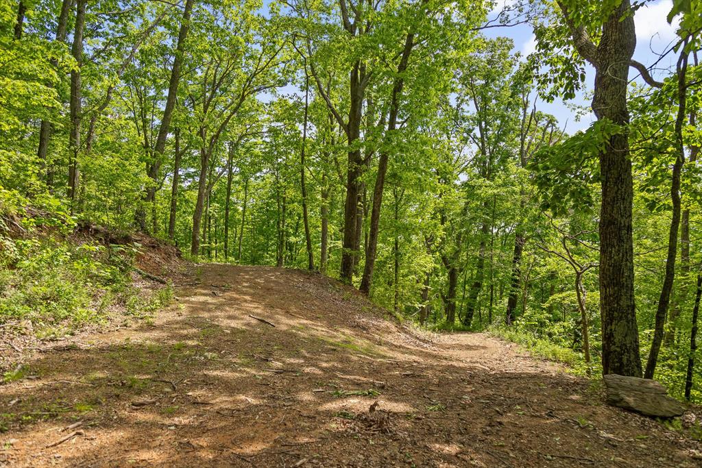 4404 Hwy 52 Property Photo 24