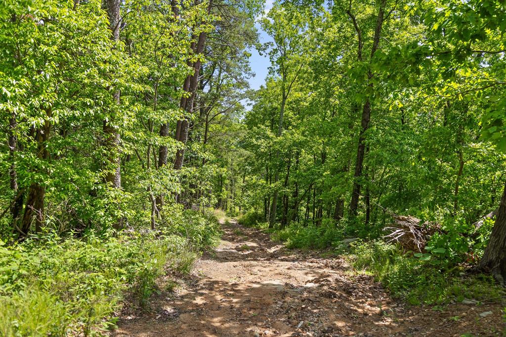 4404 Hwy 52 Property Photo 25