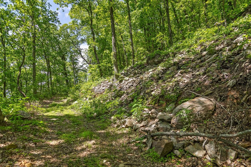 4404 Hwy 52 Property Photo 26
