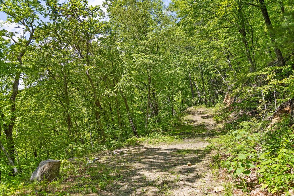 4404 Hwy 52 Property Photo 28