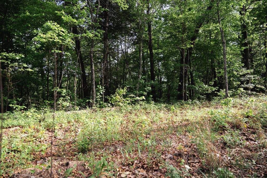 0 Century Lane Property Photo 9