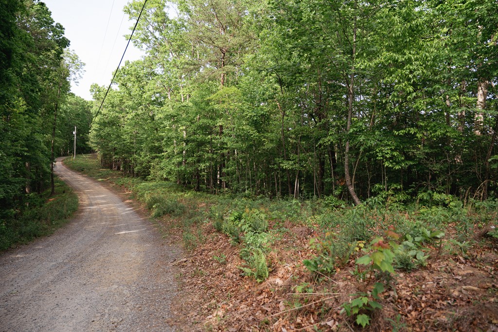 0 Century Lane Property Photo 31