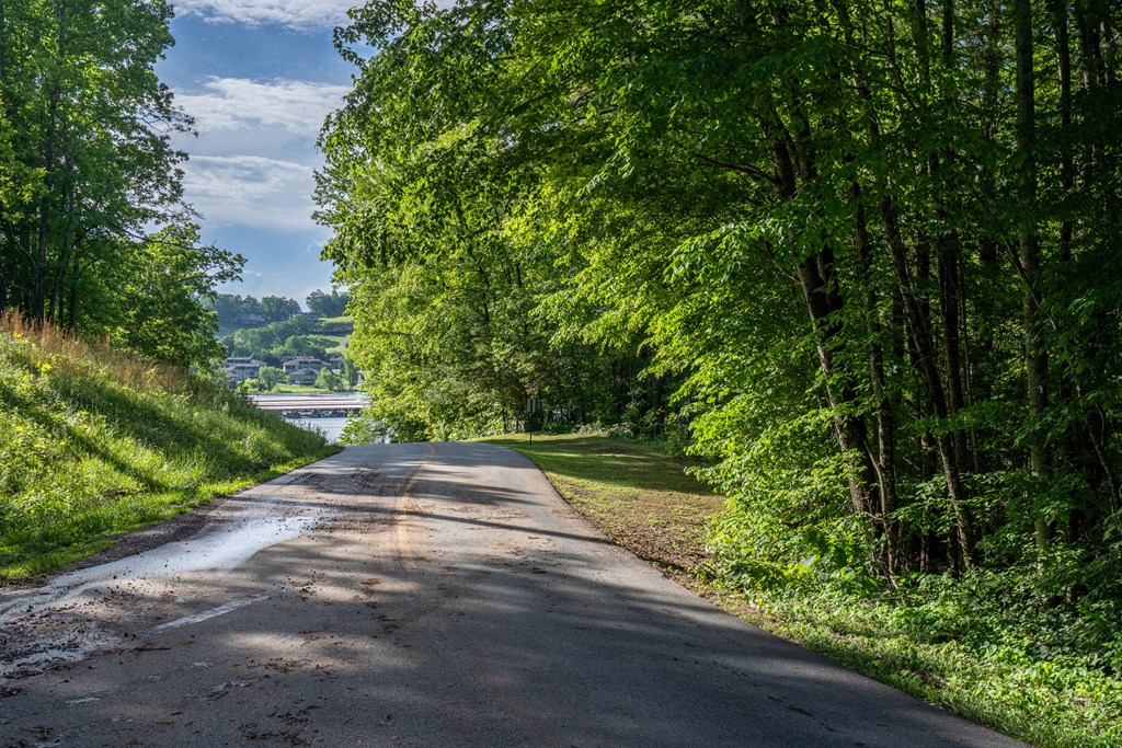 2.52 Ac Us Hwy 76 W Property Photo 10