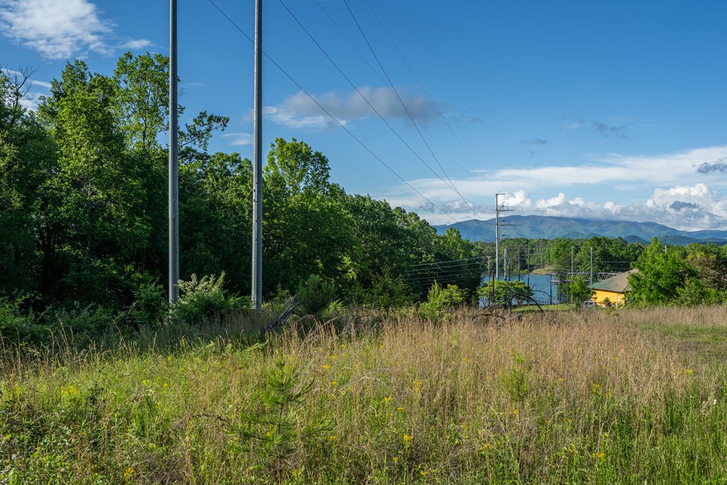 2.52 Ac Us Hwy 76 W Property Photo 12