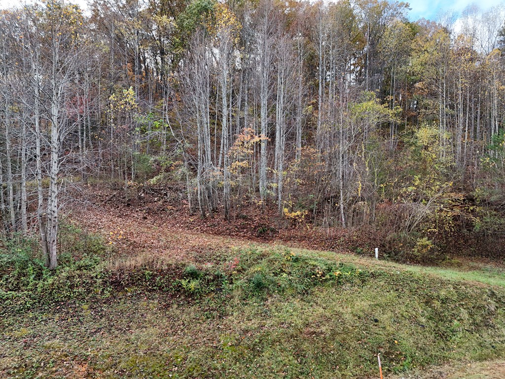1.6 Ac Highway 76 Property Photo 3