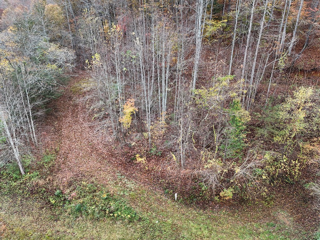 1.6 Ac Highway 76 Property Photo 6