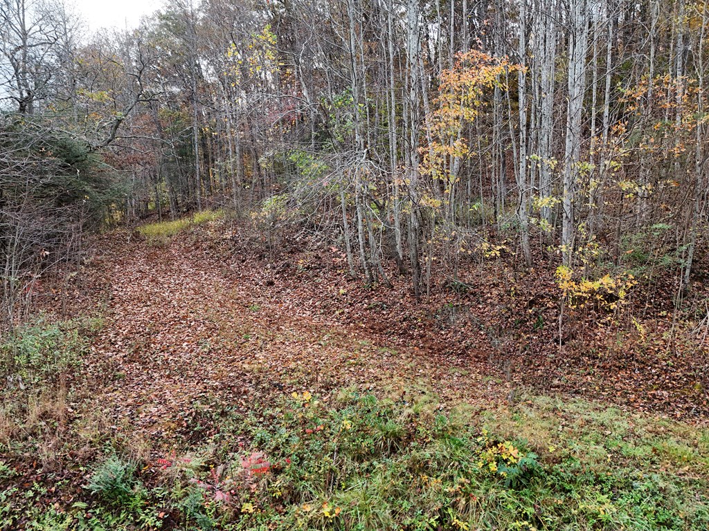 1.6 Ac Highway 76 Property Photo 8