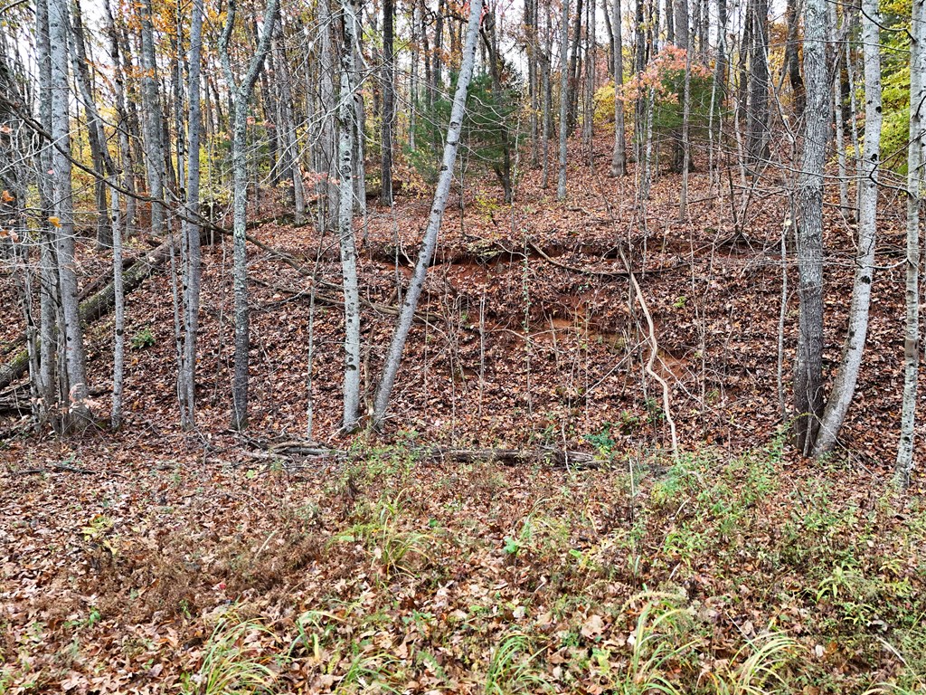 1.6 Ac Highway 76 Property Photo 10