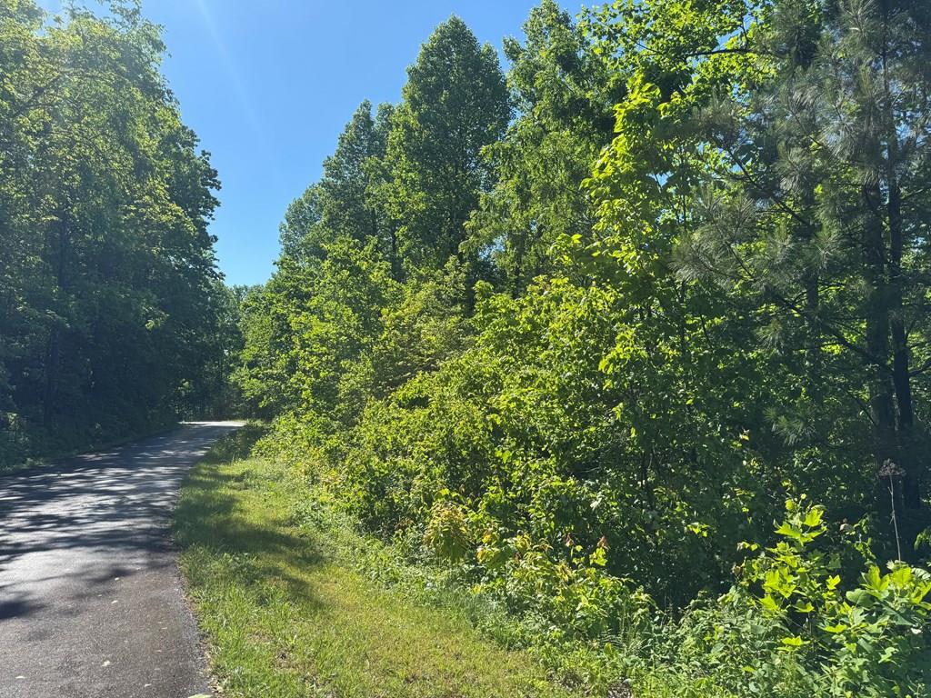Lot 42 Meadow Brooke Property Photo 1