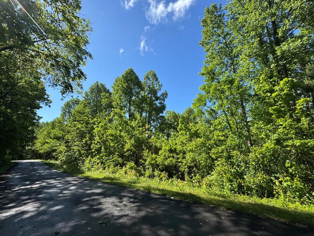 Lot 42 Meadow Brooke Property Photo 2
