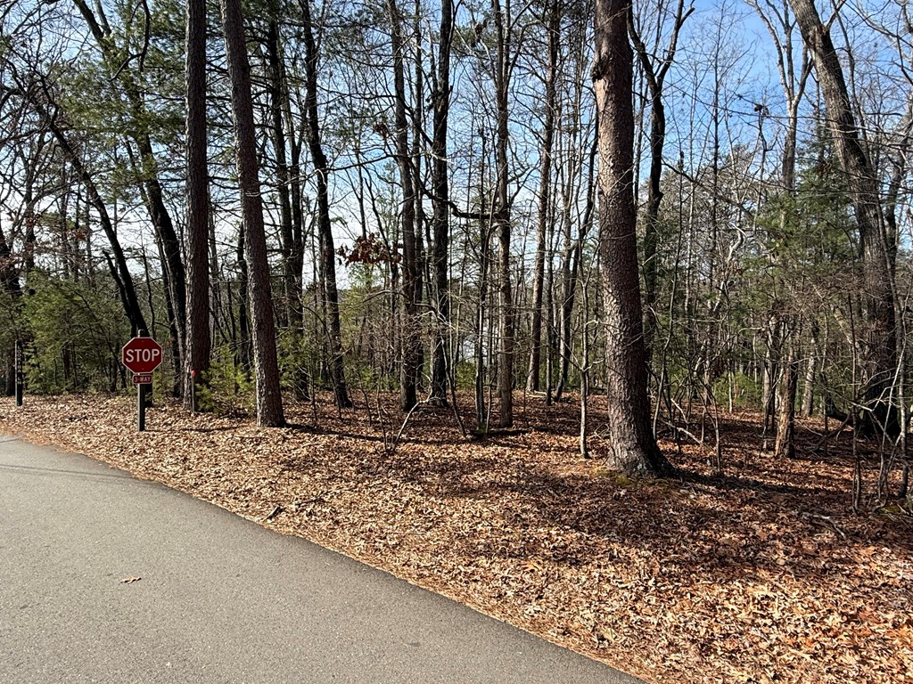 Lot 47 Seneca Drive Property Photo 7