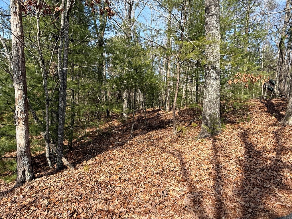 Lot 47 Seneca Drive Property Photo 8