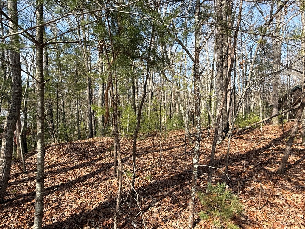 Lot 47 Seneca Drive Property Photo 9