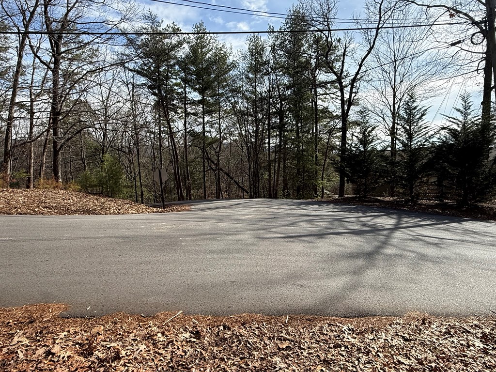 Lot 47 Seneca Drive Property Photo 10