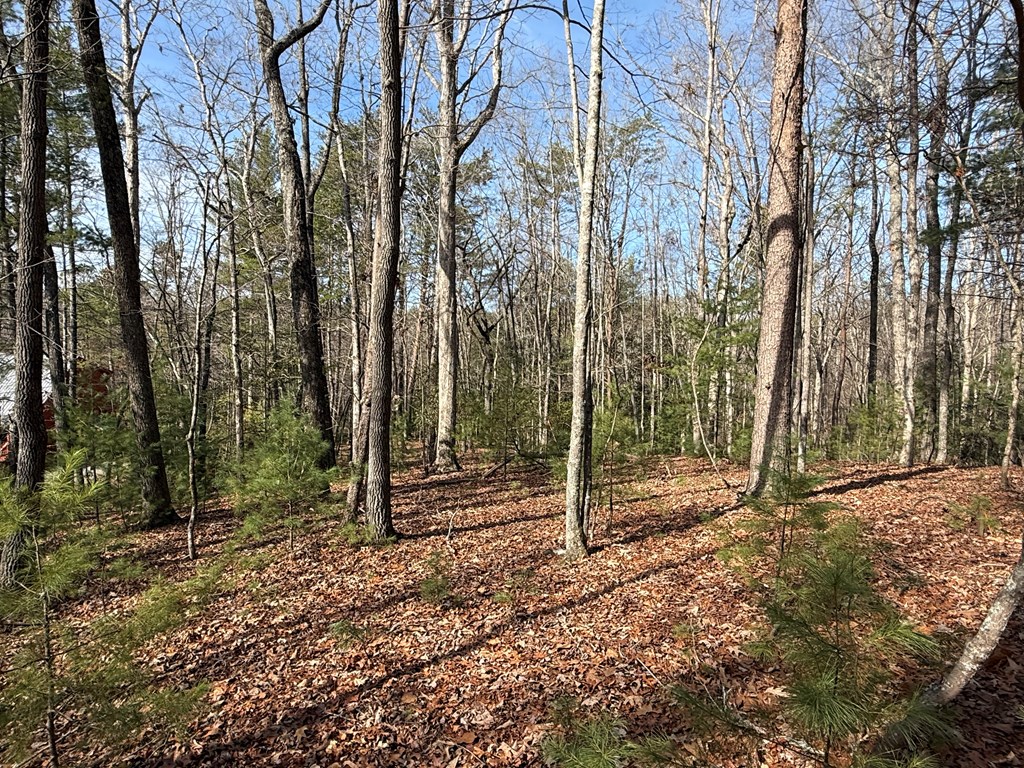 Lot 47 Seneca Drive Property Photo 11