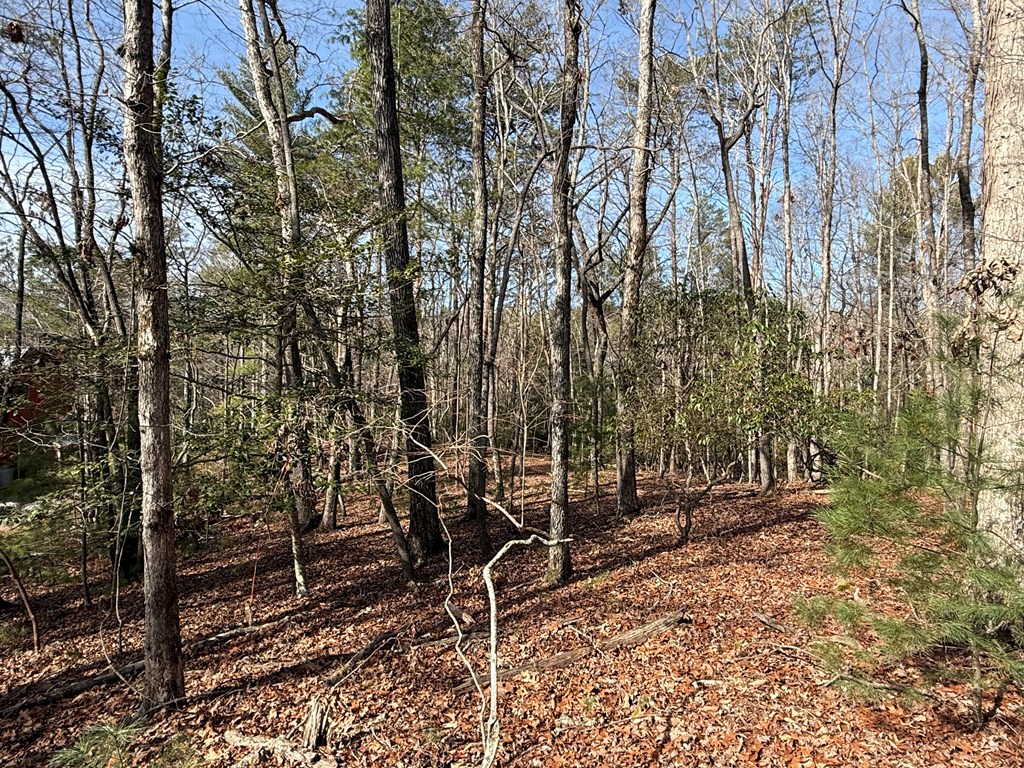 Lot 47 Seneca Drive Property Photo 12