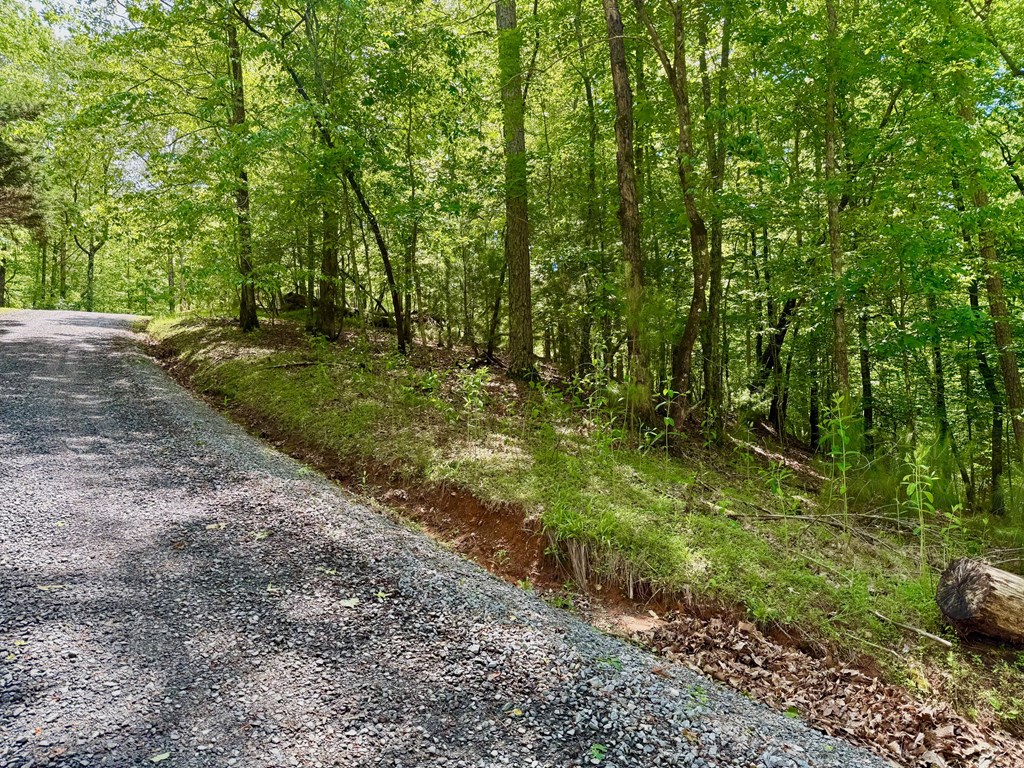1190 Gibe Court Property Photo 7